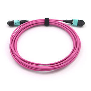 Jarretière et pigtails de fibre optique