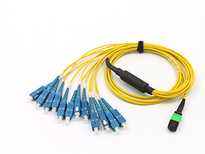 Jarretière et pigtails de fibre optique