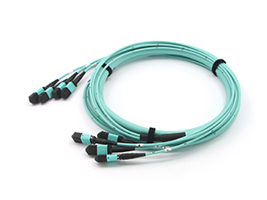 Jarretière et pigtails de fibre optique