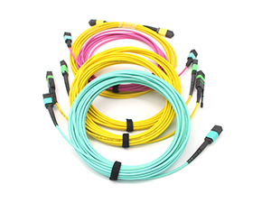 Jarretière et pigtails de fibre optique