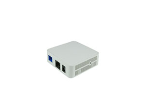 ONU pour réseau optique passif Gigabit Ethernet (GPON)